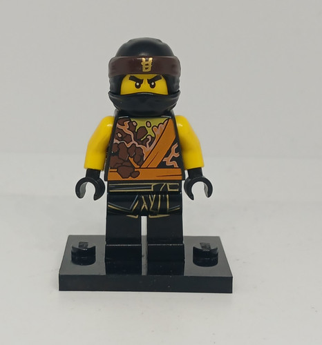 Lego ninjago cole - lego, ninjago: