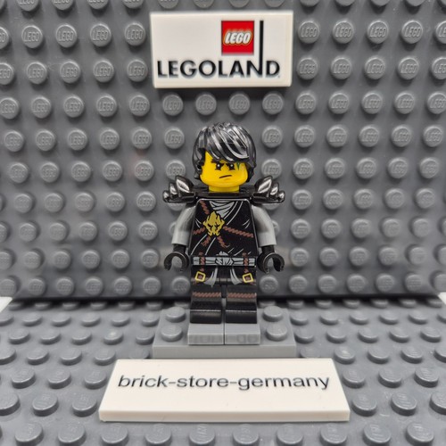 Lego ninjago minifigure - ninjago,